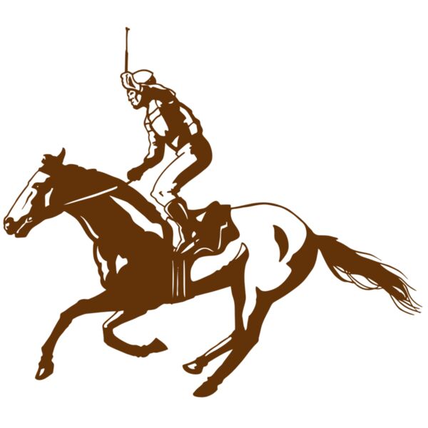 AR EQUEST 11 RC Thumbnail